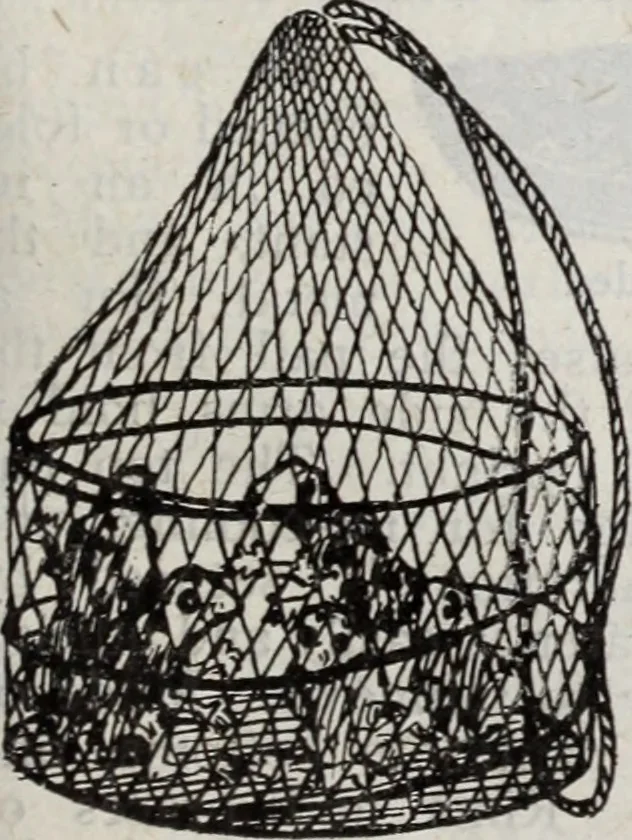 An illustration from Abercrombie & Fitch Co., New York : outfitting catalogue., 1916, leaf 138