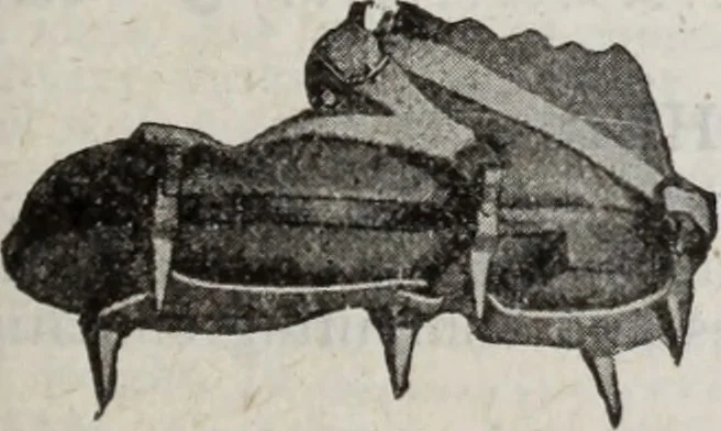An illustration from Abercrombie & Fitch Co., New York : outfitting catalogue., 1916, leaf 48