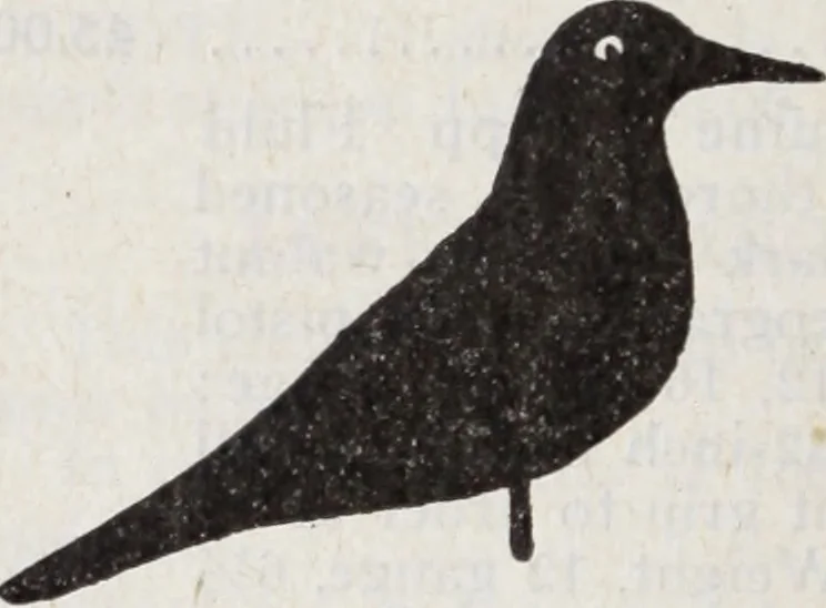 An illustration from Abercrombie & Fitch Co., New York : outfitting catalogue., 1916, leaf 65