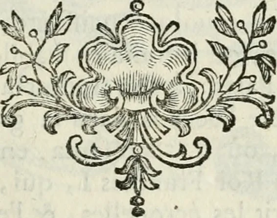 An illustration from Abrégé de la vie des plus fameux peintres, avec leurs portraits gravés en taille-douce, les indications de leurs principaux ouvrages, quelques réflexions sur leurs caractères, et la maniere de connoître les desseins et les tableaux des grands maîtres, 1762, leaf 226