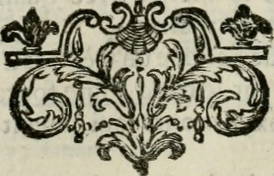 An illustration from Abrégé de la vie des plus fameux peintres, avec leurs portraits gravés en taille-douce, les indications de leurs principaux ouvrages, quelques réflexions sur leurs caractères, et la maniere de connoître les desseins et les tableaux des grands maîtres, 1762, leaf 235