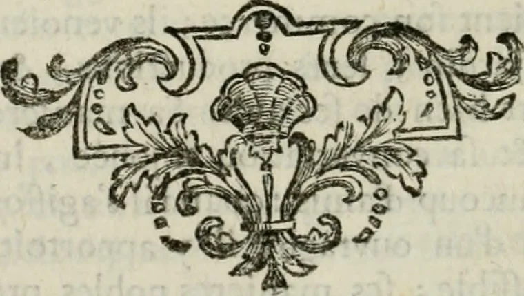 An illustration from Abrégé de la vie des plus fameux peintres, avec leurs portraits gravés en taille-douce, les indications de leurs principaux ouvrages, quelques réflexions sur leurs caractères, et la maniere de connoître les desseins et les tableaux des grands maîtres, 1762, leaf 243