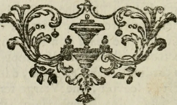 An illustration from Abrégé de la vie des plus fameux peintres, avec leurs portraits gravés en taille-douce, les indications de leurs principaux ouvrages, quelques réflexions sur leurs caractères, et la maniere de connoître les desseins et les tableaux des grands maîtres, 1762, leaf 253