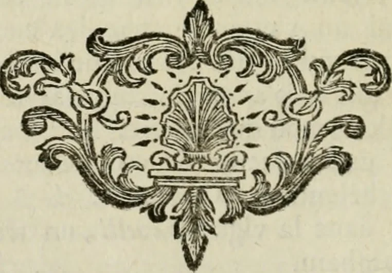 An illustration from Abrégé de la vie des plus fameux peintres, avec leurs portraits gravés en taille-douce, les indications de leurs principaux ouvrages, quelques réflexions sur leurs caractères, et la maniere de connoître les desseins et les tableaux des grands maîtres, 1762, leaf 311
