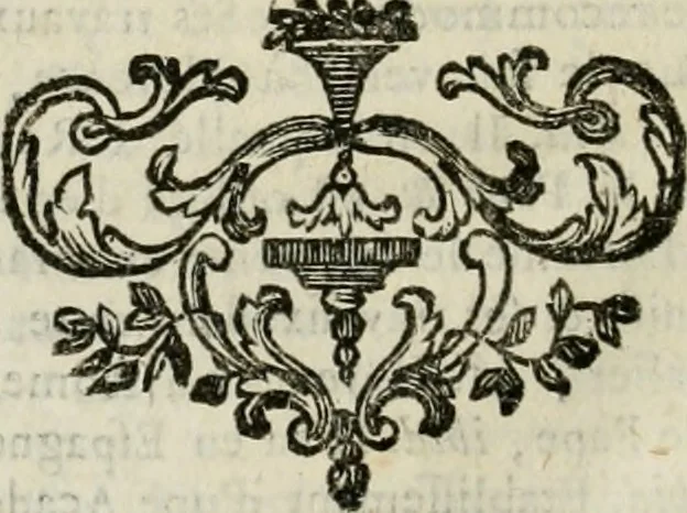An illustration from Abrégé de la vie des plus fameux peintres, avec leurs portraits gravés en taille-douce, les indications de leurs principaux ouvrages, quelques réflexions sur leurs caractères, et la maniere de connoître les desseins et les tableaux des grands maîtres, 1762, leaf 527