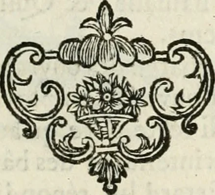 An illustration from Abrégé de la vie des plus fameux peintres, avec leurs portraits gravés en taille-douce, les indications de leurs principaux ouvrages, quelques réflexions sur leurs caractères, et la maniere de connoître les desseins et les tableaux des grands maîtres, 1762, leaf 232