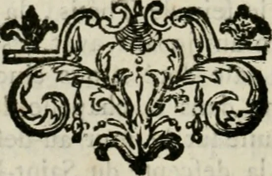 An illustration from Abrégé de la vie des plus fameux peintres, avec leurs portraits gravés en taille-douce, les indications de leurs principaux ouvrages, quelques réflexions sur leurs caractères, et la maniere de connoître les desseins et les tableaux des grands maîtres, 1762, leaf 295
