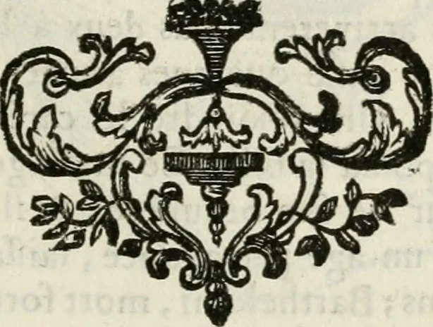 An illustration from Abrégé de la vie des plus fameux peintres, avec leurs portraits gravés en taille-douce, les indications de leurs principaux ouvrages, quelques réflexions sur leurs caractères, et la maniere de connoître les desseins et les tableaux des grands maîtres, 1762, leaf 310