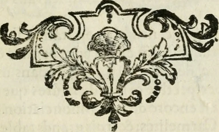 An illustration from Abrégé de la vie des plus fameux peintres, avec leurs portraits gravés en taille-douce, les indications de leurs principaux ouvrages, quelques réflexions sur leurs caractères, et la maniere de connoître les desseins et les tableaux des grands maîtres, 1762, leaf 464