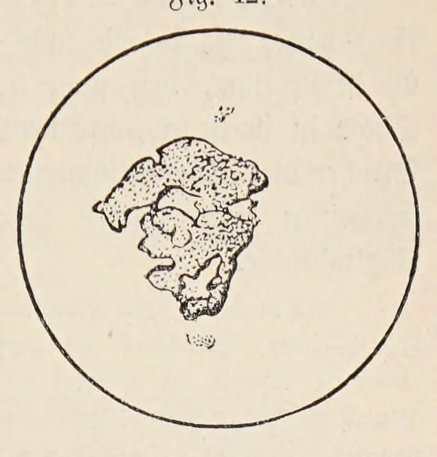 An illustration from Aberglaube und zauberei von den ältesten zeiten an bis in die gegenwart, 1898, leaf 71
