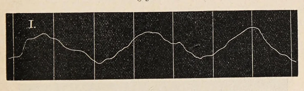 An illustration from Aberglaube und zauberei von den ältesten zeiten an bis in die gegenwart, 1898, leaf 81