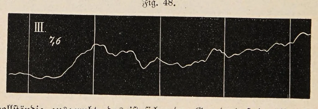 An illustration from Aberglaube und zauberei von den ältesten zeiten an bis in die gegenwart, 1898, leaf 82