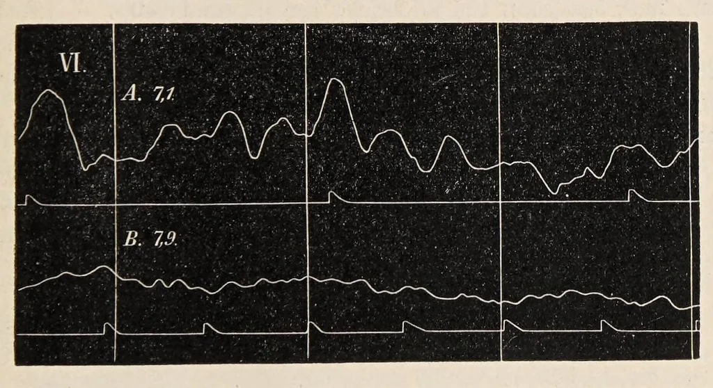 An illustration from Aberglaube und zauberei von den ältesten zeiten an bis in die gegenwart, 1898, leaf 87