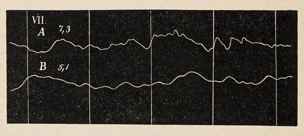 An illustration from Aberglaube und zauberei von den ältesten zeiten an bis in die gegenwart, 1898, leaf 92