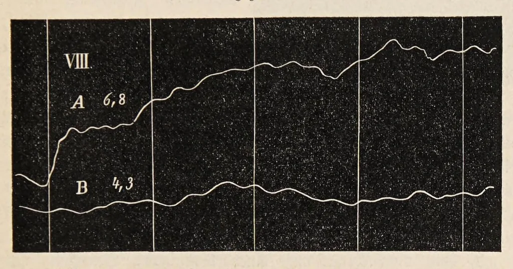 An illustration from Aberglaube und zauberei von den ältesten zeiten an bis in die gegenwart, 1898, leaf 93