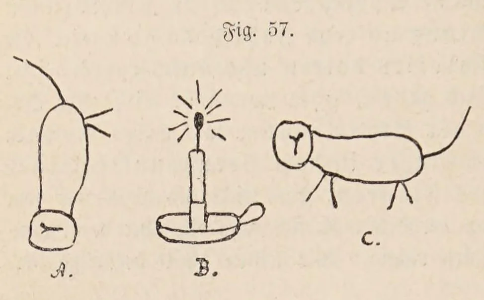 An illustration from Aberglaube und zauberei von den ältesten zeiten an bis in die gegenwart, 1898, leaf 6