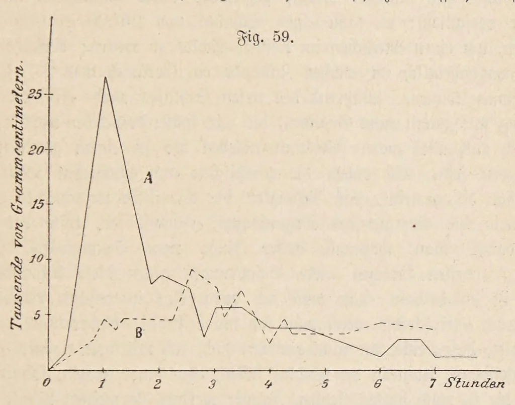 An illustration from Aberglaube und zauberei von den ältesten zeiten an bis in die gegenwart, 1898, leaf 9