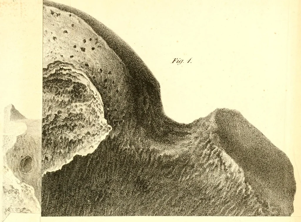 An illustration from Abhandlungen der Königlichen Akademie der Wissenschaften in Berlin, 1822, leaf 359