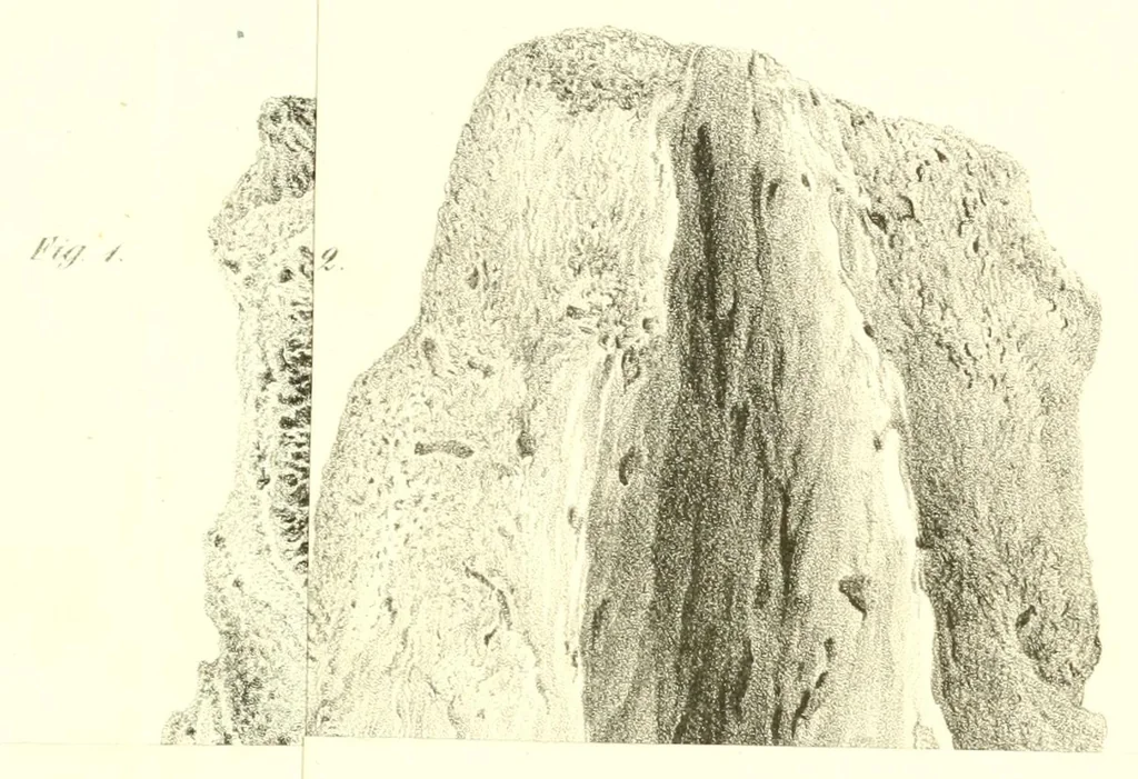 An illustration from Abhandlungen der Königlichen Akademie der Wissenschaften in Berlin, 1822, leaf 363