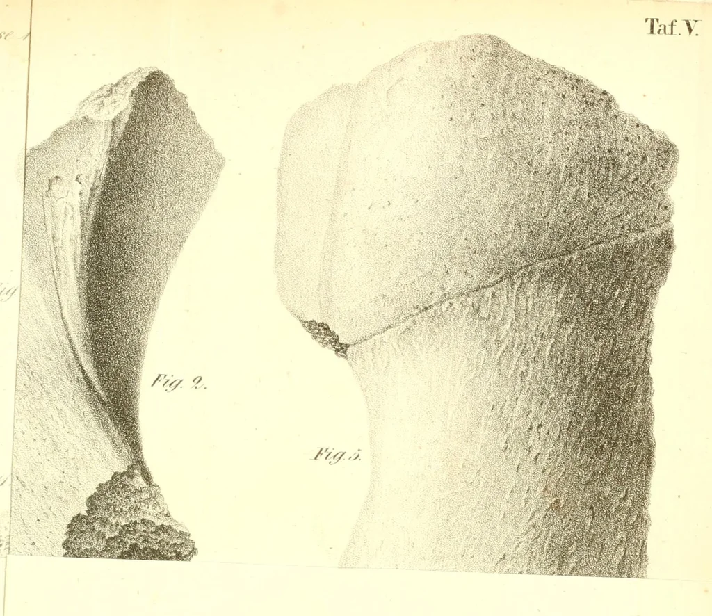 An illustration from Abhandlungen der Königlichen Akademie der Wissenschaften in Berlin, 1822, leaf 367