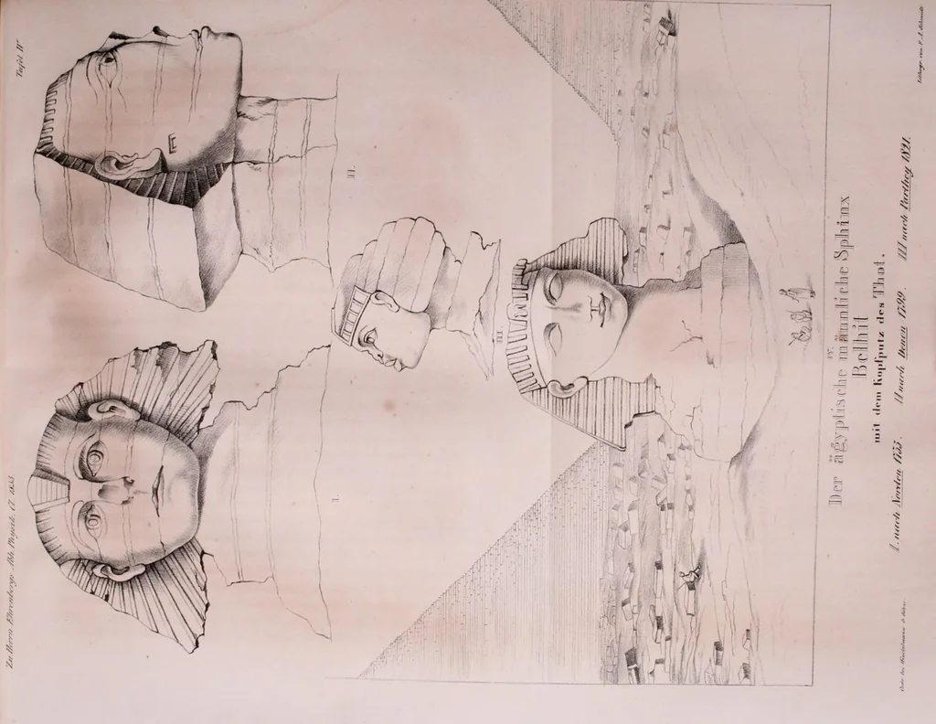 An illustration from Abhandlungen der Königlichen Akademie der Wissenschaften in Berlin, 1822, leaf 463