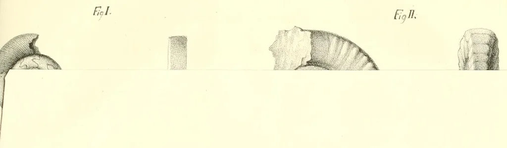 An illustration from Abhandlungen der Königlichen Akademie der Wissenschaften in Berlin, 1822, leaf 235