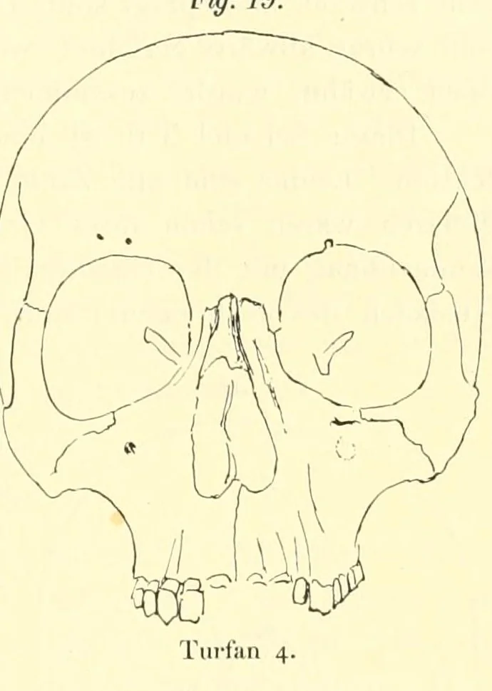An illustration from Abhandlungen der Königlich Preussischen Akademie der Wissenschaften, 1908, leaf 377