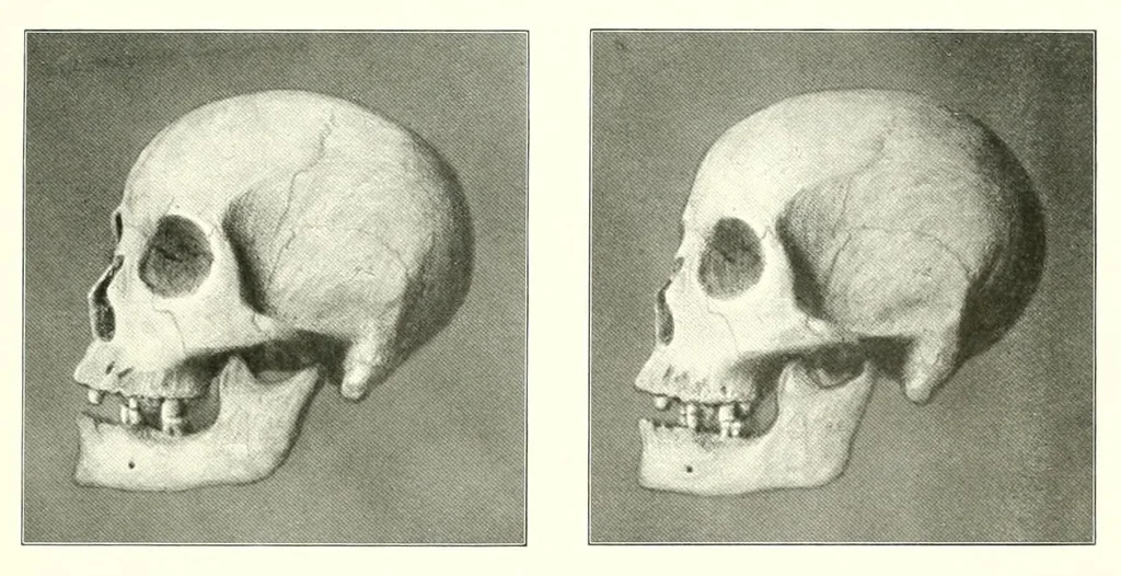 An illustration from Abhandlungen der Königlich Preussischen Akademie der Wissenschaften, 1908, leaf 397