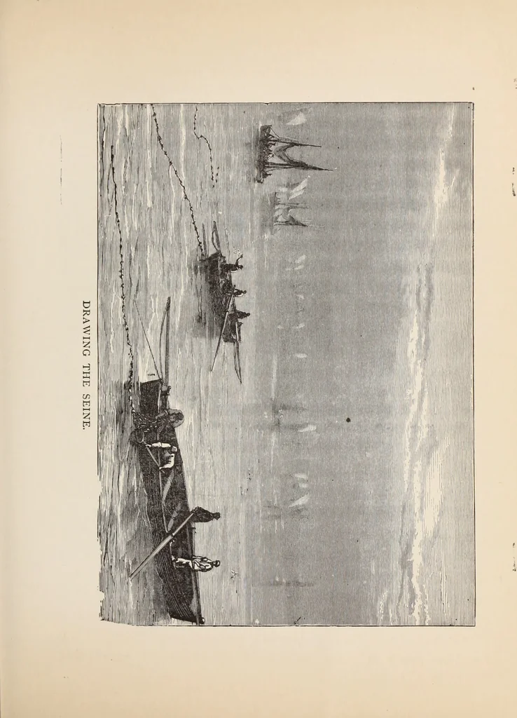 An illustration from Aboard the Mavis : it is told in this book how five boys and five girls cruise in the schooner "Mavis" about the east end of Long Island, and how, in, 1880, leaf 134