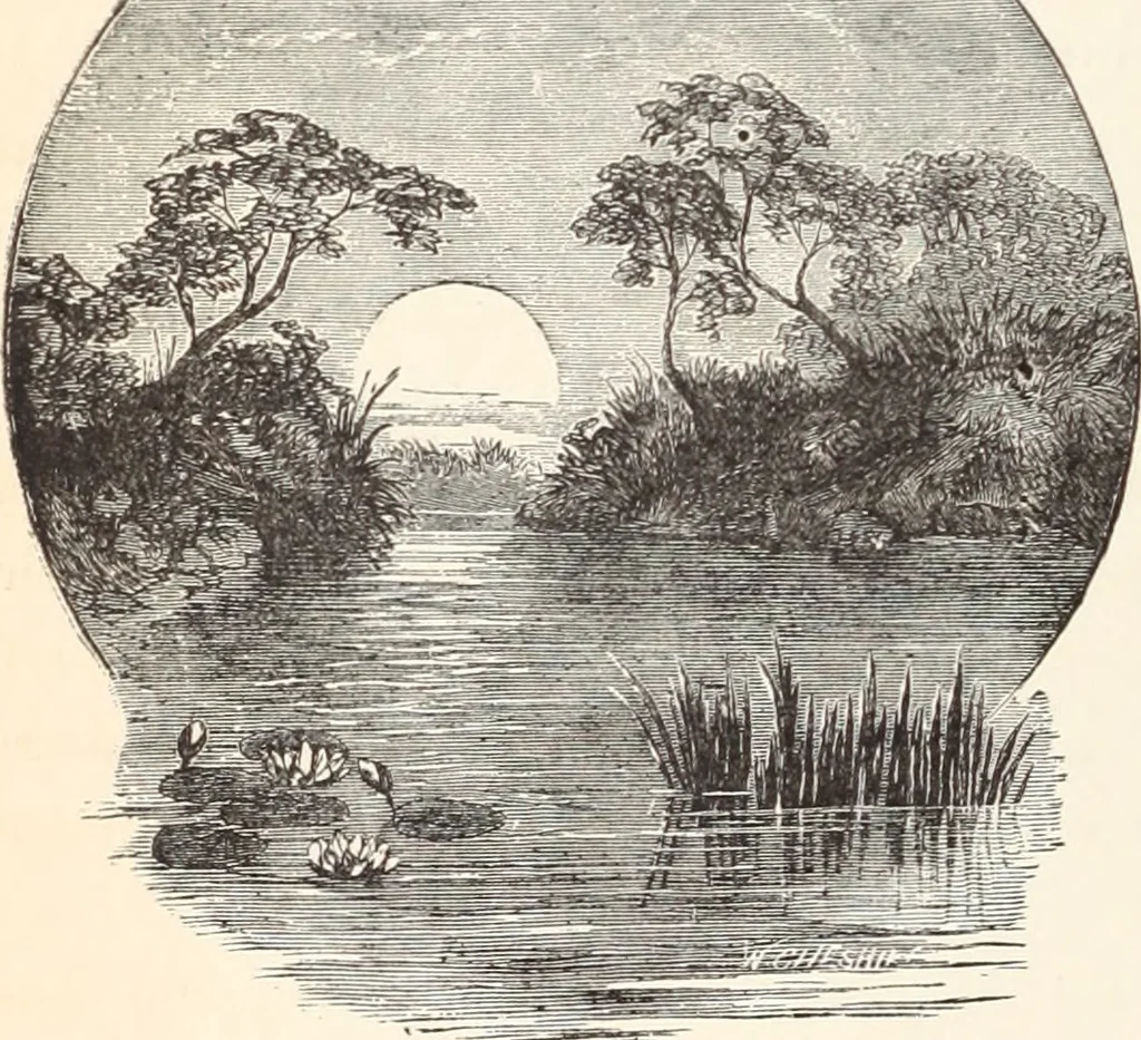 An illustration from Aboard the Mavis : it is told in this book how five boys and five girls cruise in the schooner "Mavis" about the east end of Long Island, and how, in, 1880, leaf 181
