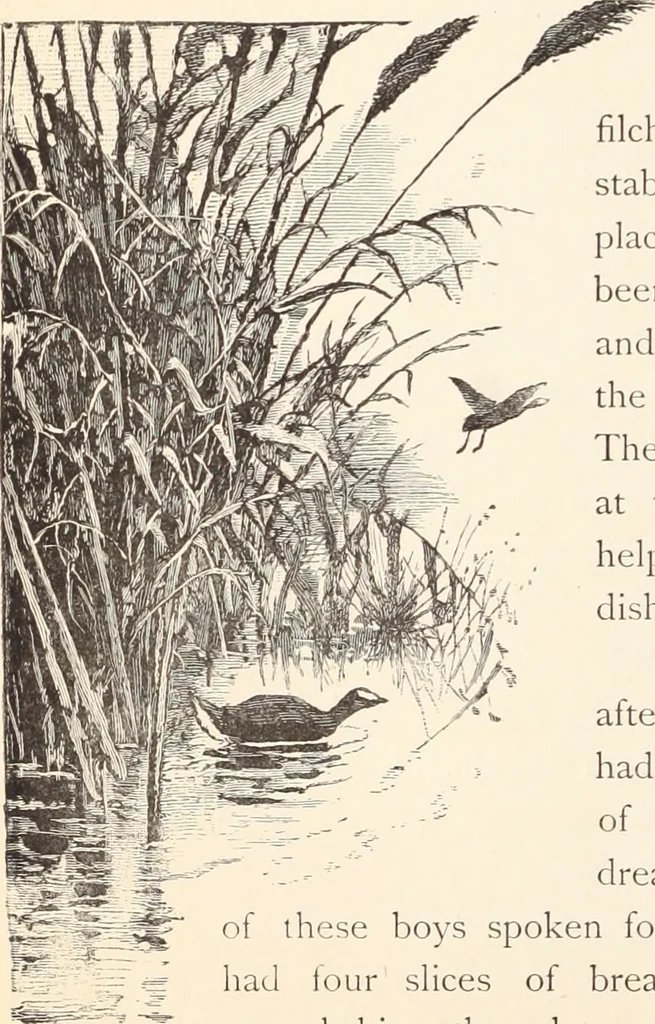 An illustration from Aboard the Mavis : it is told in this book how five boys and five girls cruise in the schooner "Mavis" about the east end of Long Island, and how, in, 1880, leaf 49
