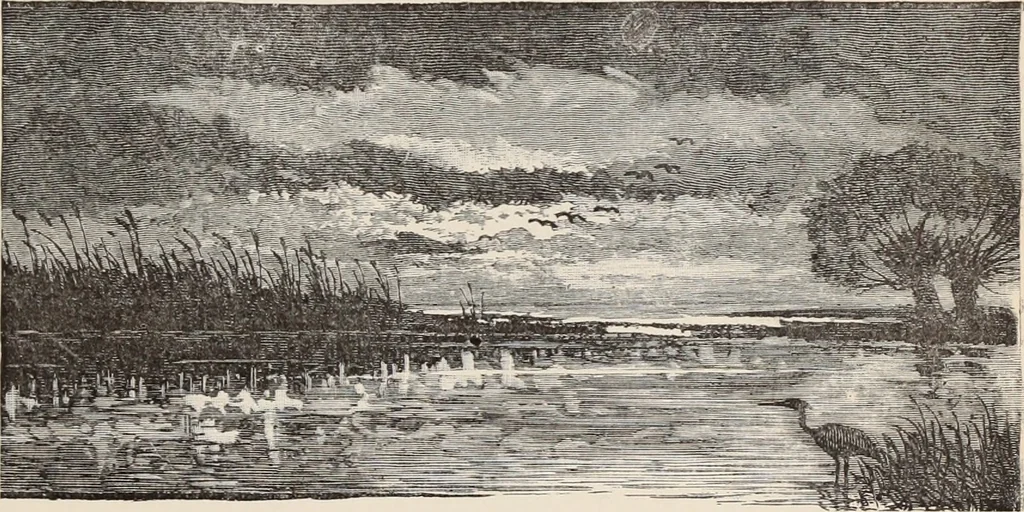 An illustration from Aboard the Mavis : it is told in this book how five boys and five girls cruise in the schooner "Mavis" about the east end of Long Island, and how, in, 1880, leaf 64