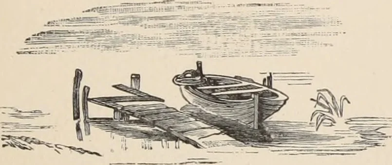 An illustration from Aboard the Mavis : it is told in this book how five boys and five girls cruise in the schooner "Mavis" about the east end of Long Island, and how, in, 1880, leaf 8