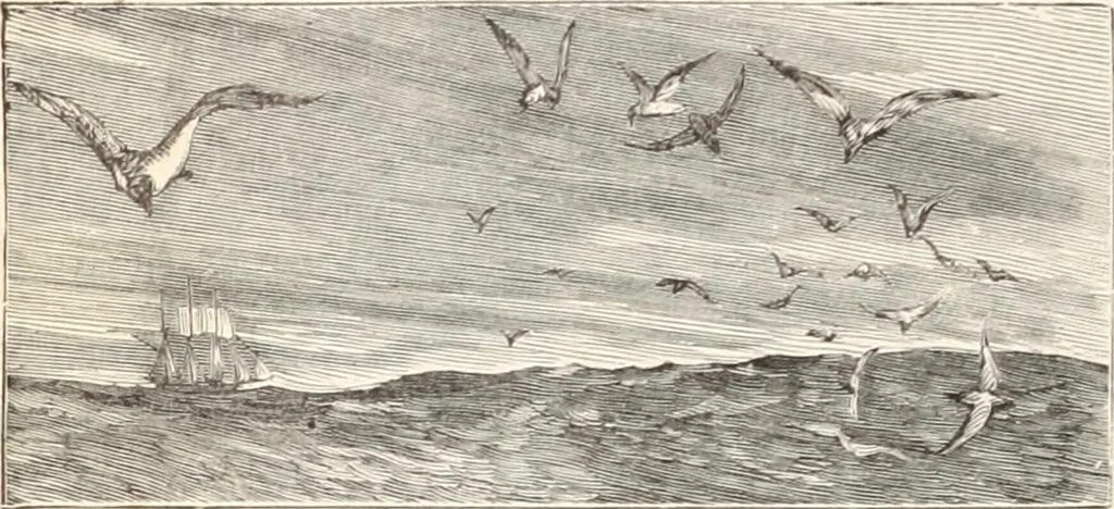 An illustration from Aboard the Mavis : it is told in this book how five boys and five girls cruise in the schooner "Mavis" about the east end of Long Island, and how, in, 1880, leaf 91