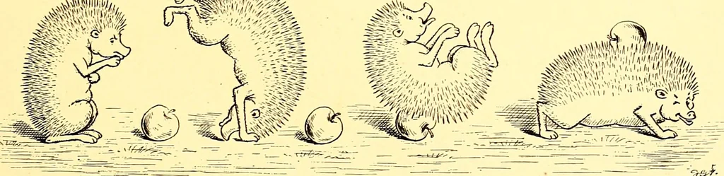 An illustration from [A book of cheerful cats and other animated animals, 1892, leaf 22