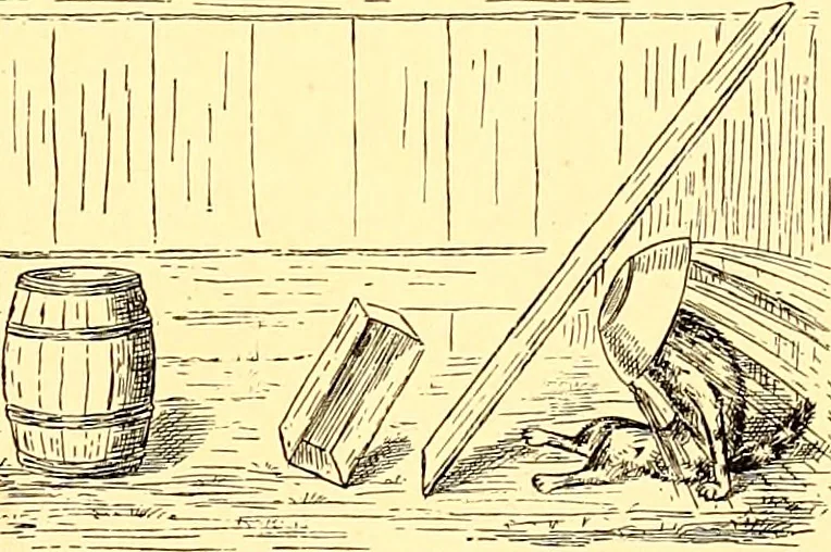 An illustration from [A book of cheerful cats and other animated animals, 1892, leaf 58