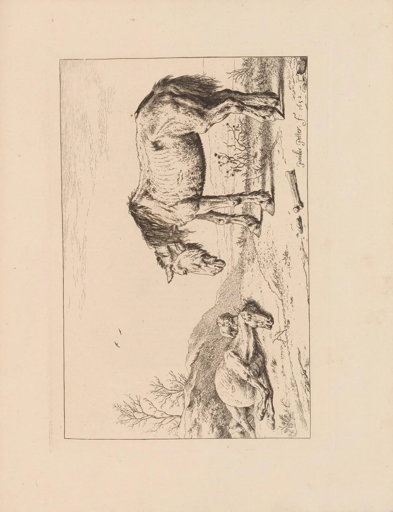 An illustration from About etching : Part I. Notes by Mr. Seymour Haden on a collection of etchings and engravings by the great masters, lent by him to the Fine Art Society to illustrate the subject of etching. Part II. An annotated catalogue of the examples exhibited of etchers and painter-engravers' work, 1879, leaf 79