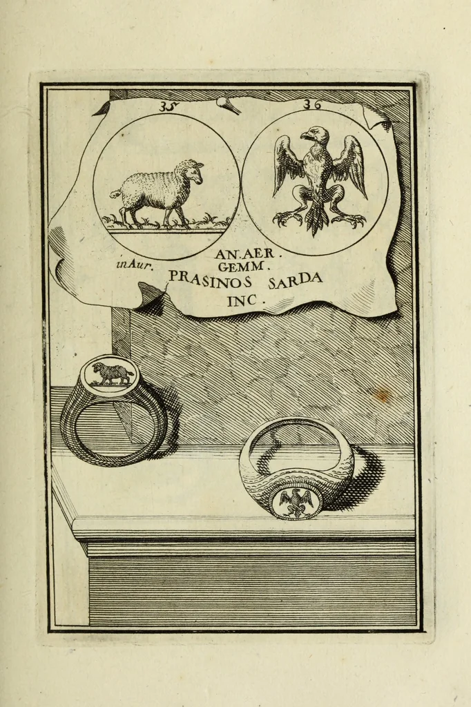 An illustration from Abrahami Gorlaei antverpiani Dactyliothecae, seu, Annulorum sigillarium quorum apud priscos tam Graecos quam Romanos usus, ex ferro, aere, argento & auro promptuarii pars prima[-secunda] : collectis aliunde & ineditis & editis annulorum figuris auctior, 1695, leaf 122