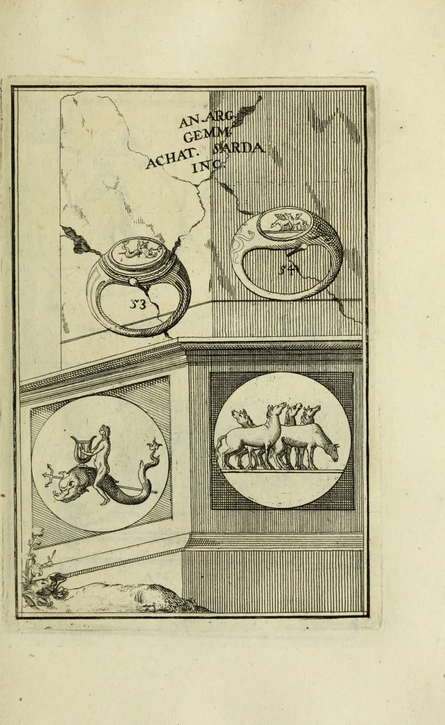 An illustration from Abrahami Gorlaei antverpiani Dactyliothecae, seu, Annulorum sigillarium quorum apud priscos tam Graecos quam Romanos usus, ex ferro, aere, argento & auro promptuarii pars prima[-secunda] : collectis aliunde & ineditis & editis annulorum figuris auctior, 1695, leaf 140