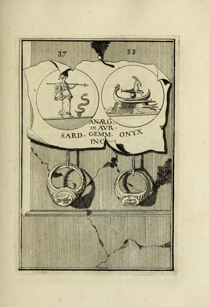 An illustration from Abrahami Gorlaei antverpiani Dactyliothecae, seu, Annulorum sigillarium quorum apud priscos tam Graecos quam Romanos usus, ex ferro, aere, argento & auro promptuarii pars prima[-secunda] : collectis aliunde & ineditis & editis annulorum figuris auctior, 1695, leaf 174