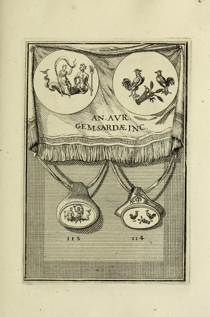 An illustration from Abrahami Gorlaei antverpiani Dactyliothecae, seu, Annulorum sigillarium quorum apud priscos tam Graecos quam Romanos usus, ex ferro, aere, argento & auro promptuarii pars prima[-secunda] : collectis aliunde & ineditis & editis annulorum figuris auctior, 1695, leaf 206