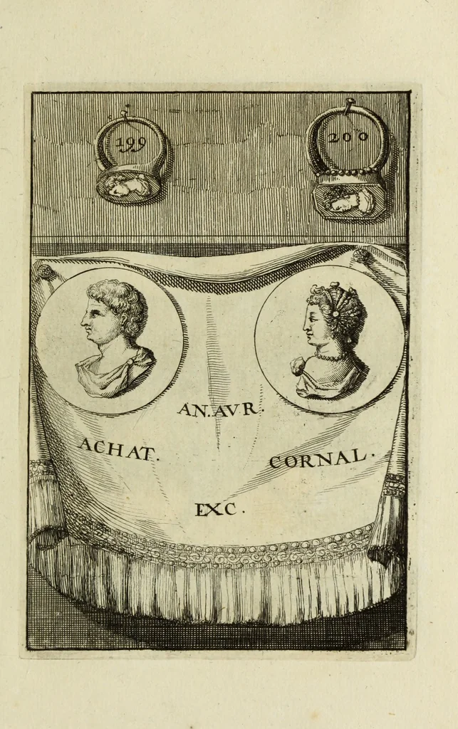 An illustration from Abrahami Gorlaei antverpiani Dactyliothecae, seu, Annulorum sigillarium quorum apud priscos tam Graecos quam Romanos usus, ex ferro, aere, argento & auro promptuarii pars prima[-secunda] : collectis aliunde & ineditis & editis annulorum figuris auctior, 1695, leaf 292