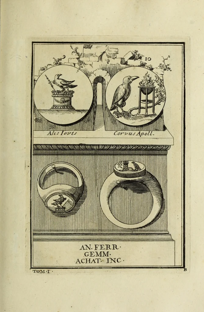 An illustration from Abrahami Gorlaei antverpiani Dactyliothecae, seu, Annulorum sigillarium quorum apud priscos tam Graecos quam Romanos usus, ex ferro, aere, argento & auro promptuarii pars prima[-secunda] : collectis aliunde & ineditis & editis annulorum figuris auctior, 1695, leaf 96