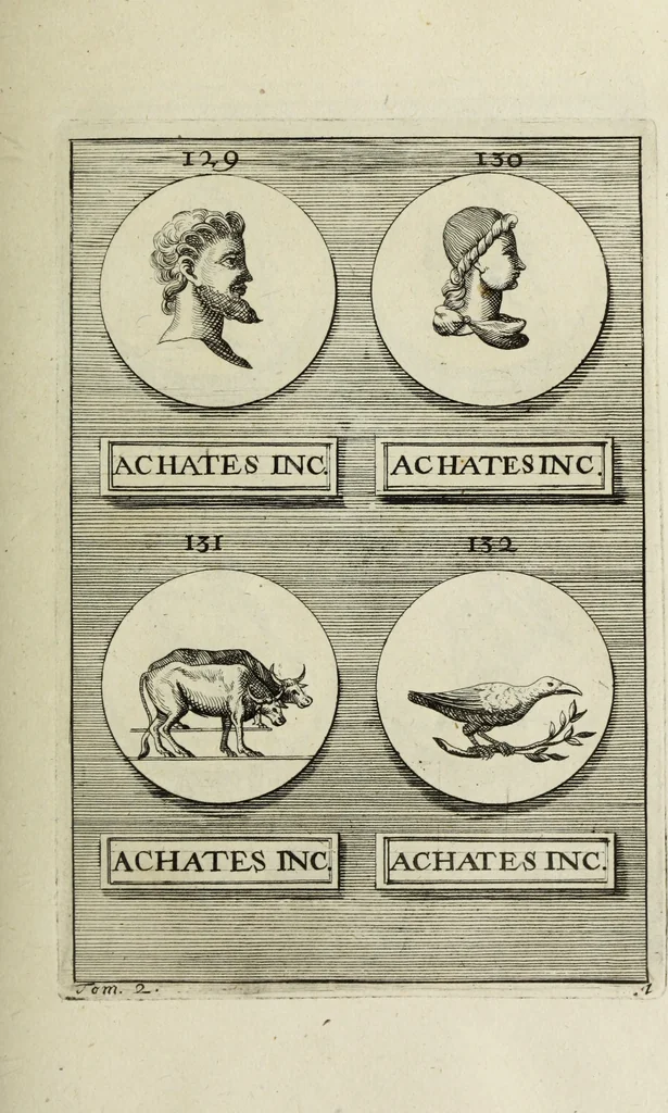 An illustration from Abrahami Gorlaei antverpiani Dactyliothecae, seu, Annulorum sigillarium quorum apud priscos tam Graecos quam Romanos usus, ex ferro, aere, argento & auro promptuarii pars prima[-secunda] : collectis aliunde & ineditis & editis annulorum figuris auctior, 1695, leaf 132