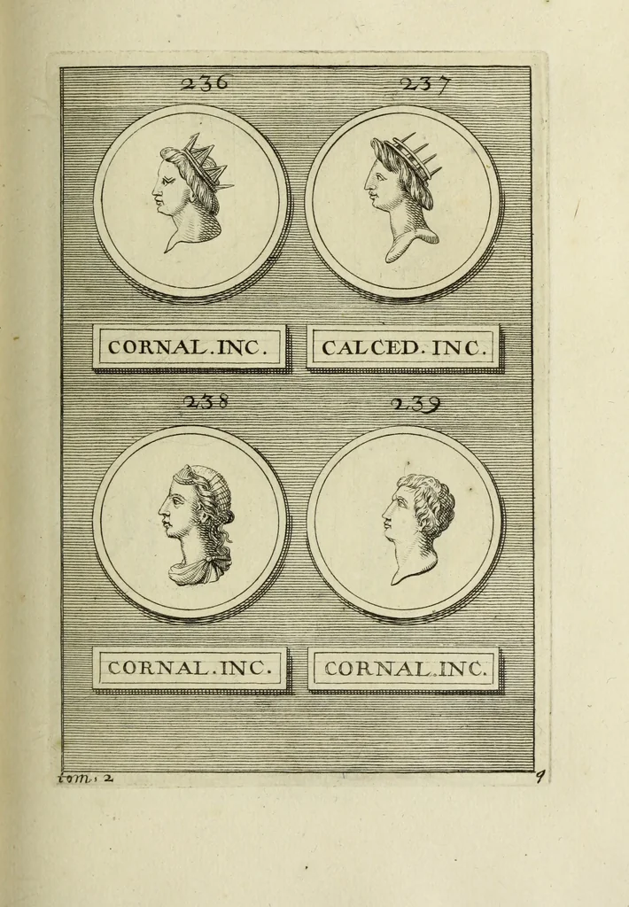 An illustration from Abrahami Gorlaei antverpiani Dactyliothecae, seu, Annulorum sigillarium quorum apud priscos tam Graecos quam Romanos usus, ex ferro, aere, argento & auro promptuarii pars prima[-secunda] : collectis aliunde & ineditis & editis annulorum figuris auctior, 1695, leaf 188