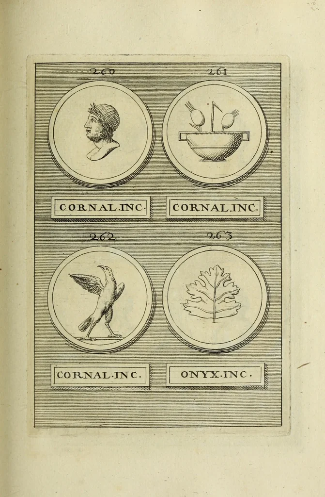 An illustration from Abrahami Gorlaei antverpiani Dactyliothecae, seu, Annulorum sigillarium quorum apud priscos tam Graecos quam Romanos usus, ex ferro, aere, argento & auro promptuarii pars prima[-secunda] : collectis aliunde & ineditis & editis annulorum figuris auctior, 1695, leaf 202