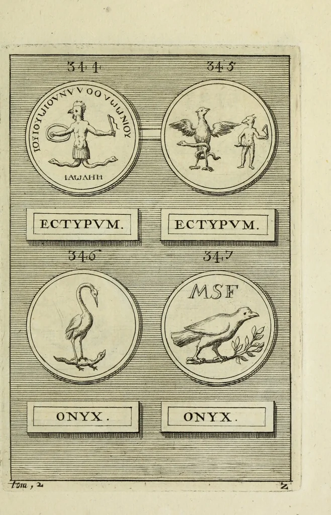 An illustration from Abrahami Gorlaei antverpiani Dactyliothecae, seu, Annulorum sigillarium quorum apud priscos tam Graecos quam Romanos usus, ex ferro, aere, argento & auro promptuarii pars prima[-secunda] : collectis aliunde & ineditis & editis annulorum figuris auctior, 1695, leaf 244