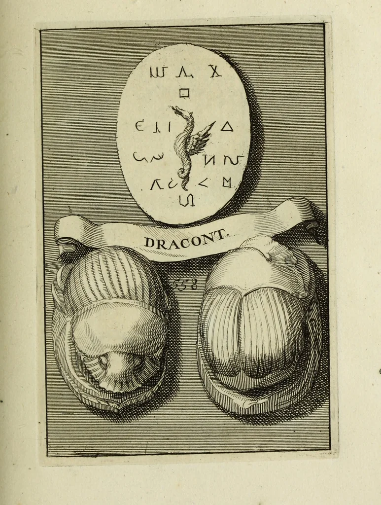 An illustration from Abrahami Gorlaei antverpiani Dactyliothecae, seu, Annulorum sigillarium quorum apud priscos tam Graecos quam Romanos usus, ex ferro, aere, argento & auro promptuarii pars prima[-secunda] : collectis aliunde & ineditis & editis annulorum figuris auctior, 1695, leaf 352