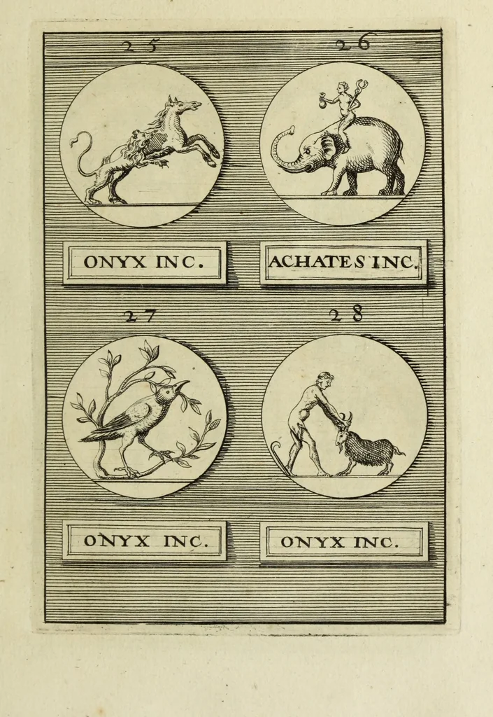 An illustration from Abrahami Gorlaei antverpiani Dactyliothecae, seu, Annulorum sigillarium quorum apud priscos tam Graecos quam Romanos usus, ex ferro, aere, argento & auro promptuarii pars prima[-secunda] : collectis aliunde & ineditis & editis annulorum figuris auctior, 1695, leaf 80