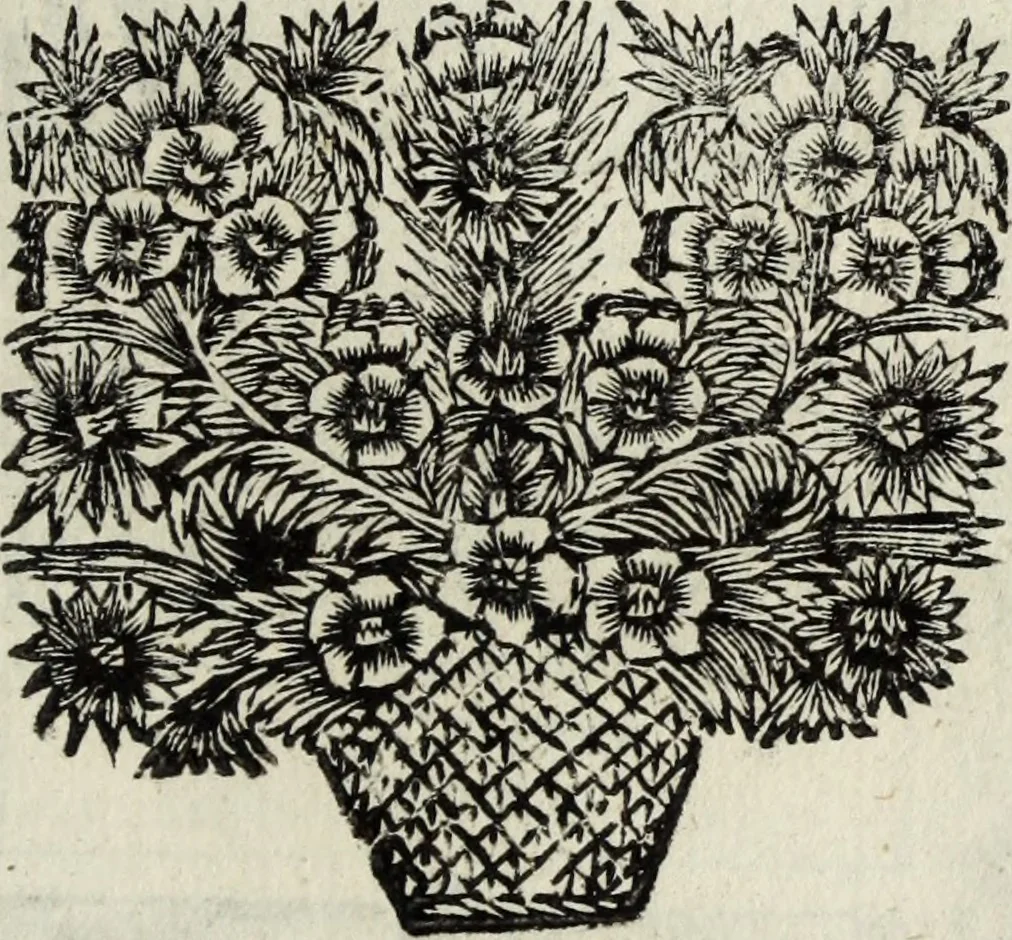 An illustration from Abrahami Ortelii, cosmographi et geographi regii, Deorum dearumque capita, ex antiquis numismatibus collecta, 1683, leaf 112